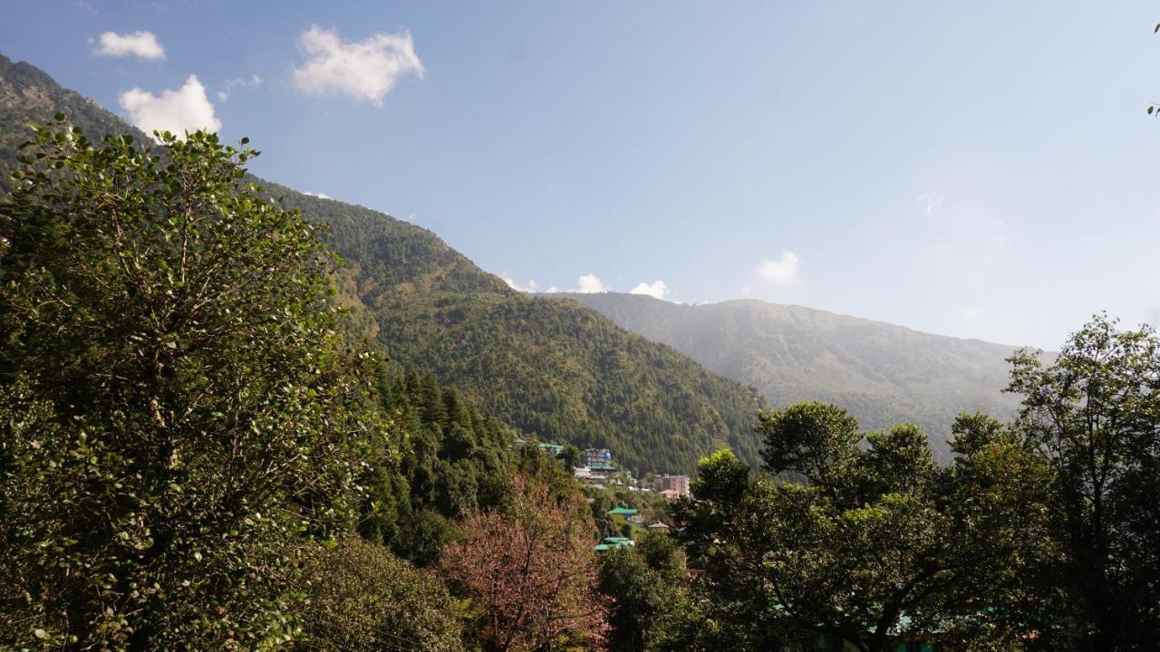 Angela'S Boutique Homes Dharamkot Dharamshala Exteriör bild